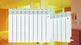 Aluminum Radiator (BST-600A-002)