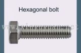 Hexagonal Head Bolt