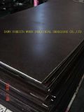 Wiremesh Film Faced Plywood