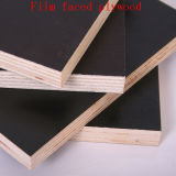 Brown/Black Film Faced Plywood, Marine/Shuttering Exterior Plywood, Concrete/Construction Plywood