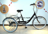 Germany Model Tricycle for Hot Sale (SH-T018)