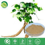 Plant Extract Kudzu Root Extract Puerarin