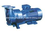 Liquid Ring Type Vacuum Pump (SKA)