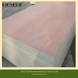 Hot Sale Commercial Plywood with High Grade Cheapest Pirce