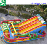 Giant Inflatable Slip N Slide for Adult (DJWS021)
