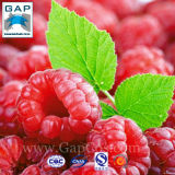 100% Natural Raspberry Plant Extract