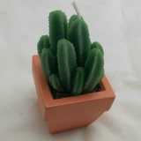 Creative Cute Cactus Candles