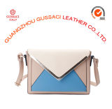 Hot Sale Multicolor Structure Crossbody Bag for Lady