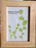 Photo Frame