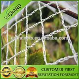 Diamond Agricultural Anti Bird Net with UV Protection in Rolls