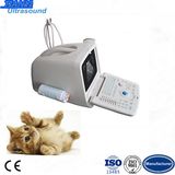 Cheap Medical Ultrasound Equipment for Vet