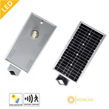 10W Integrated Sensor Garden/Street LED Light with Outdoor Lamp