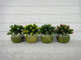 Artificial Plastic Potted Flower (XD15-371)