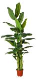 Artificial Plants and Flowers of Banana Tree 260cm Gu-Bj-803-45-3