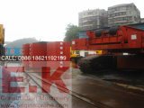 450ton Demag Hydraulic Crawler Crane Construction Machinery (CC2500)