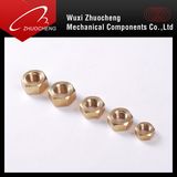 Brass Fastener Nut