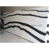 China Big Slabs Stone Polished Zebra Marble