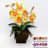 Artificial Potted Flower, Imitative Silk Orchid