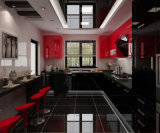 Modern Design Lacquer Series Kitchen Cabinet (BR-L016)