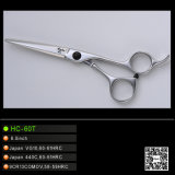 Best High Quality Hairdressing Scissors (HC-60T)
