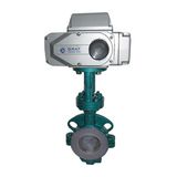 Fluorine Electric Butterfly Valve