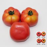 Artificial Fruit, Imitative Polyfoam Tomato