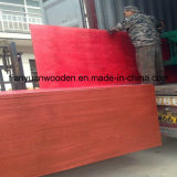 13-Ply Construction Red Pine Shutter Plywood