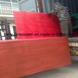 13-Ply Construction Red Pine Shutter Plywood