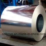 Zinc Coated Steel in Coil (for building)