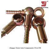 Good Quality Competitive Banjo Fittings