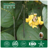 Cassia Seed/ Juemingzi