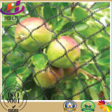Plastic HDPE Agriculture Anti-Bird Net for Fruit Tree
