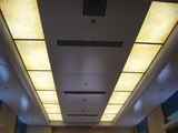 Ornamental Aluminum Ceiling Board