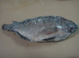 Frozen Tilapia, Gutted, Scaled