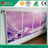 New Customerized Room Heating Panel Infrared Heaters