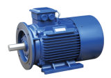 Long-Life Russian GOST Induction Motor