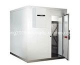 Walk in Refrigerator, Freezer Room for Meat and Fish