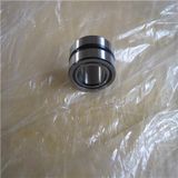 Hot Sale Needle Bearings Needle Roller Bearings