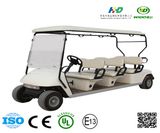 Electric Golf Car Used in Golf Course