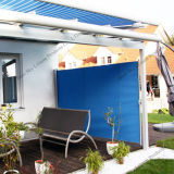 Metal Frame Retractable Invisible Awning Screen (B700)