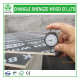 Professional Manufactured 7mm Logo Film Faced Plywood