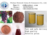 Natural Healthy Pharmaceutical Intermediate Material Grape Seed Oil