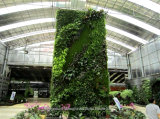 Beautiful Decoration Plant/Artificial Plant Wall