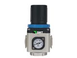 Tr Series Air Regulator