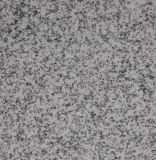 Tongan White Granite_G655