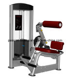 Back Extension Commercial Fitness/Gym Equipment with SGS