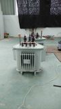 Triangle S11 - Mrl Series Transformer