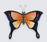 Butterfly Kite -04