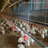 Chicken Pan Feeder for Poultry Farm House (JCJX-12)