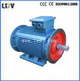 Ykp Electric Motor